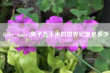 淄博男子五千米的世界纪录是多少