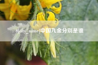 淄博中国九金分别是谁