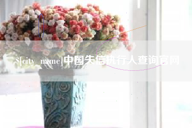 淄博中国失信执行人查询官网