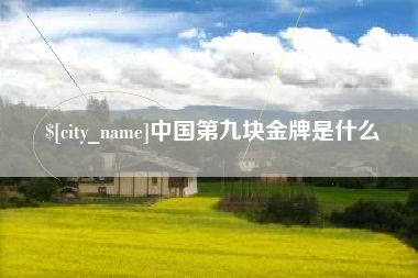 淄博中国第九块金牌是什么