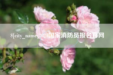 淄博2021国家消防员报名官网