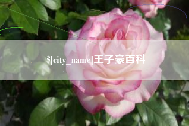 淄博王子豪百科