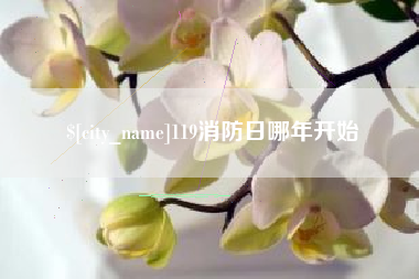 淄博119消防日哪年开始