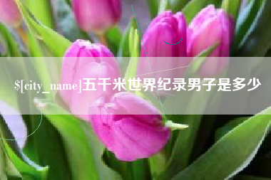 淄博五千米世界纪录男子是多少