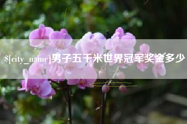 淄博男子五千米世界冠军奖金多少