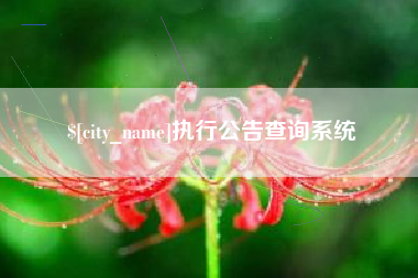 淄博执行公告查询系统