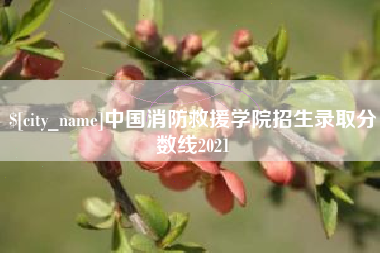 淄博中国消防救援学院招生录取分数线2021
