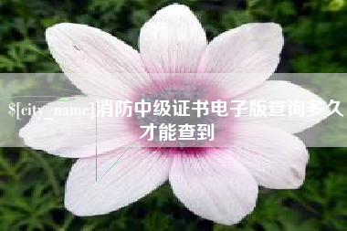 淄博消防中级证书电子版查询多久才能查到