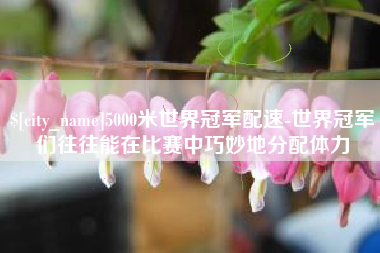 淄博5000米世界冠军配速-世界冠军们往往能在比赛中巧妙地分配体力