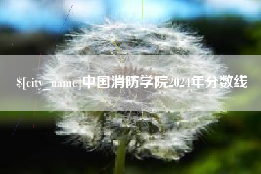 淄博中国消防学院2024年分数线