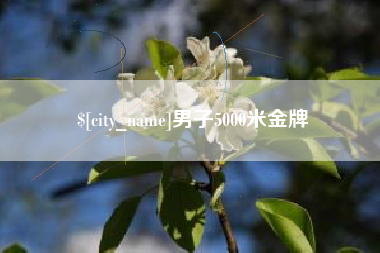 淄博男子5000米金牌
