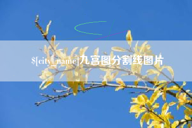 淄博九宫图分割线图片