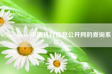 淄博中国执行信息公开网的查询系统