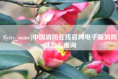 淄博中国消防在线官网电子版消防证怎么查询