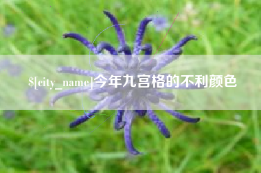 淄博今年九宫格的不利颜色