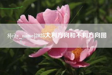 淄博2025大利方向和不利方向图