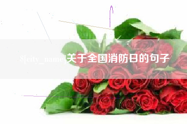 淄博关于全国消防日的句子
