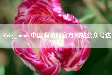 淄博中国消防网官方网站公众号达伦特