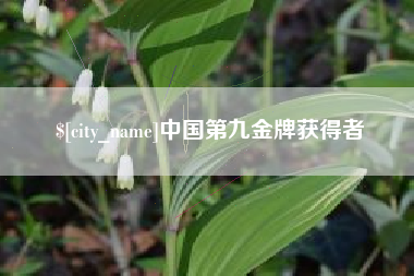 淄博中国第九金牌获得者