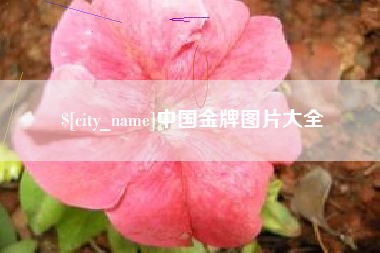淄博中国金牌图片大全