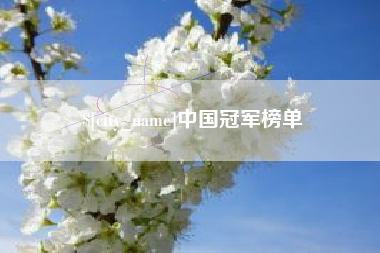 淄博中国冠军榜单