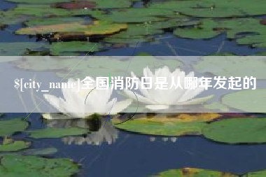 淄博全国消防日是从哪年发起的