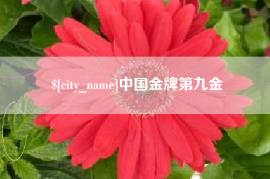 淄博中国金牌第九金