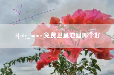 淄博免费卫星地图哪个好