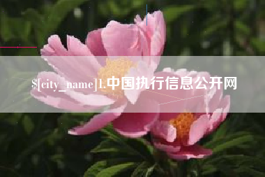淄博1.中国执行信息公开网