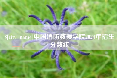 淄博中国消防救援学院2024年招生分数线