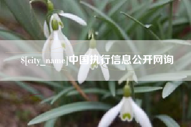 淄博中国执行信息公开网询