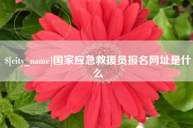 淄博国家应急救援员报名网址是什么