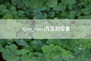 淄博九宫的位置
