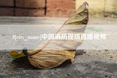 淄博中国消防现场直播视频