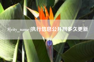 淄博执行信息公开网多久更新