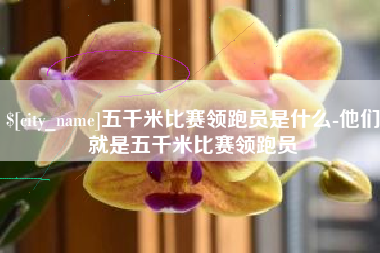 淄博五千米比赛领跑员是什么-他们就是五千米比赛领跑员