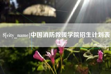 淄博中国消防救援学院招生计划表