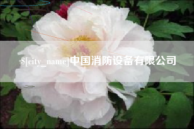 淄博中国消防设备有限公司