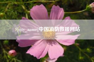 淄博中国消防救援网站