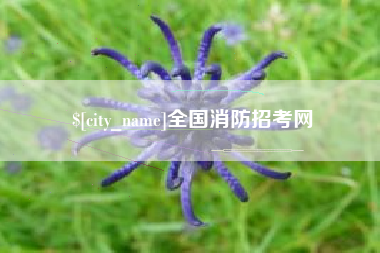 淄博全国消防招考网