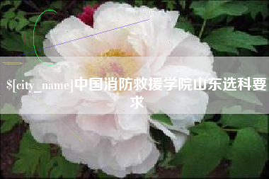 淄博中国消防救援学院山东选科要求