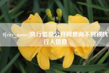 淄博执行信息公开网查询不到被执行人信息