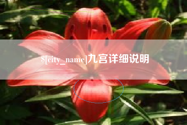 淄博九宫详细说明