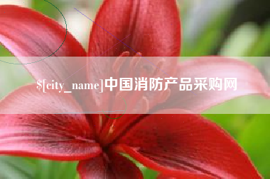 淄博中国消防产品采购网