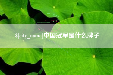 淄博中国冠军是什么牌子