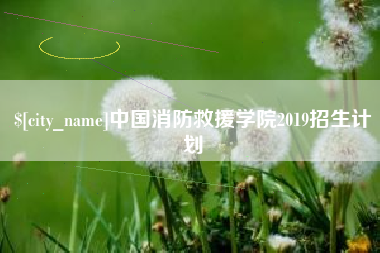 淄博中国消防救援学院2019招生计划