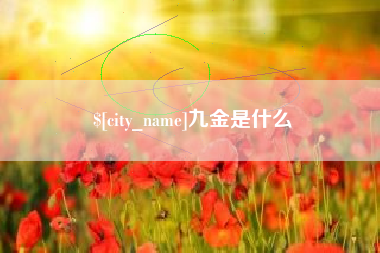 淄博九金是什么