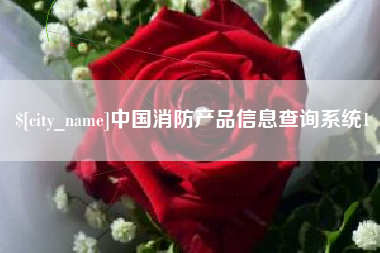 淄博中国消防产品信息查询系统1