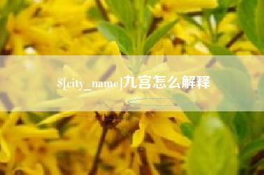 淄博九宫怎么解释