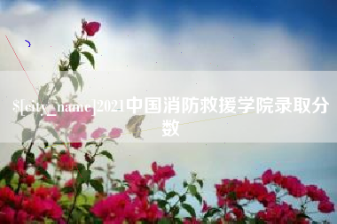 淄博2021中国消防救援学院录取分数
